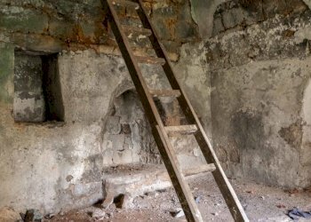 1874.JPG - Casa indipendente Contrada Bufalaria, Carovigno - foto 13