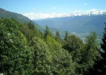 Trilocale via Prasomaso, 3, Tresivio - foto 3