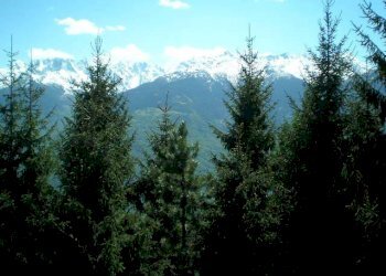 Trilocale via Prasomaso, 3, Tresivio - foto 4