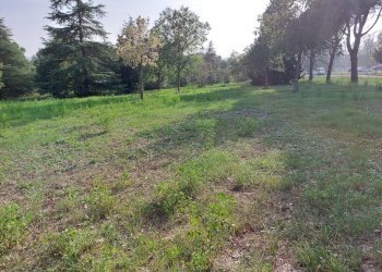 terreno - Rustico via Montanara, 147, Imola - foto 6