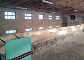 Casa Colonica Quattro Castella - foto 4