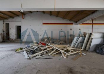 Box auto - Shop via Angelo Pasolini, Longiano - photo 9