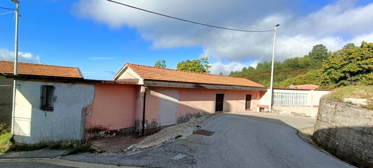 IMG20221002165852.jpg - Show room san mazzeo, Conflenti - photo 2