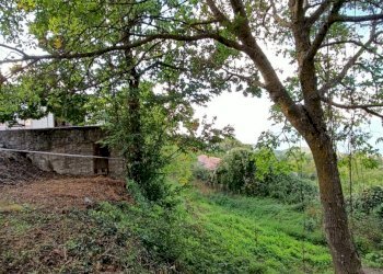 IMG20221002165655.jpg - Show room san mazzeo, Conflenti - foto 7