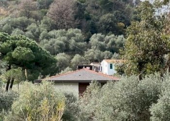 463f09e5-1860-47ef-bf83-cf335481abec.jpg - Villa Portovenere - foto 17