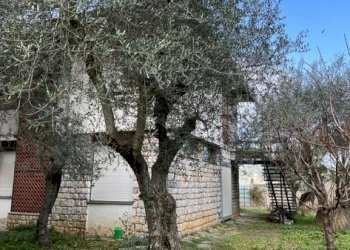 c9ae1a2a-591f-4d29-bf4e-8280cad99715.jpg - Villa Portovenere - foto 30