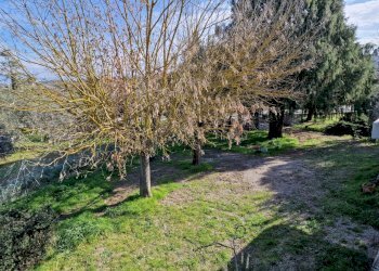 25.jpg - Villa Viale Perugia 37, Castiglione del Lago - foto 25