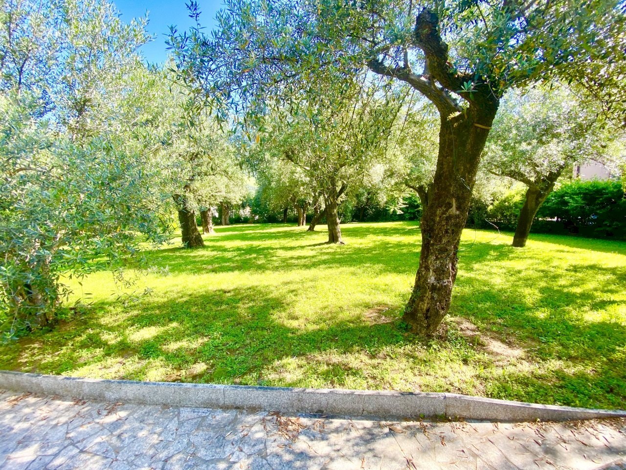 IMG_4637 2.JPG - Villa Seravezza - foto 2