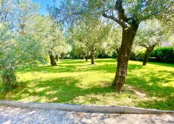 IMG_4637 2.JPG - Villa Seravezza - foto 2