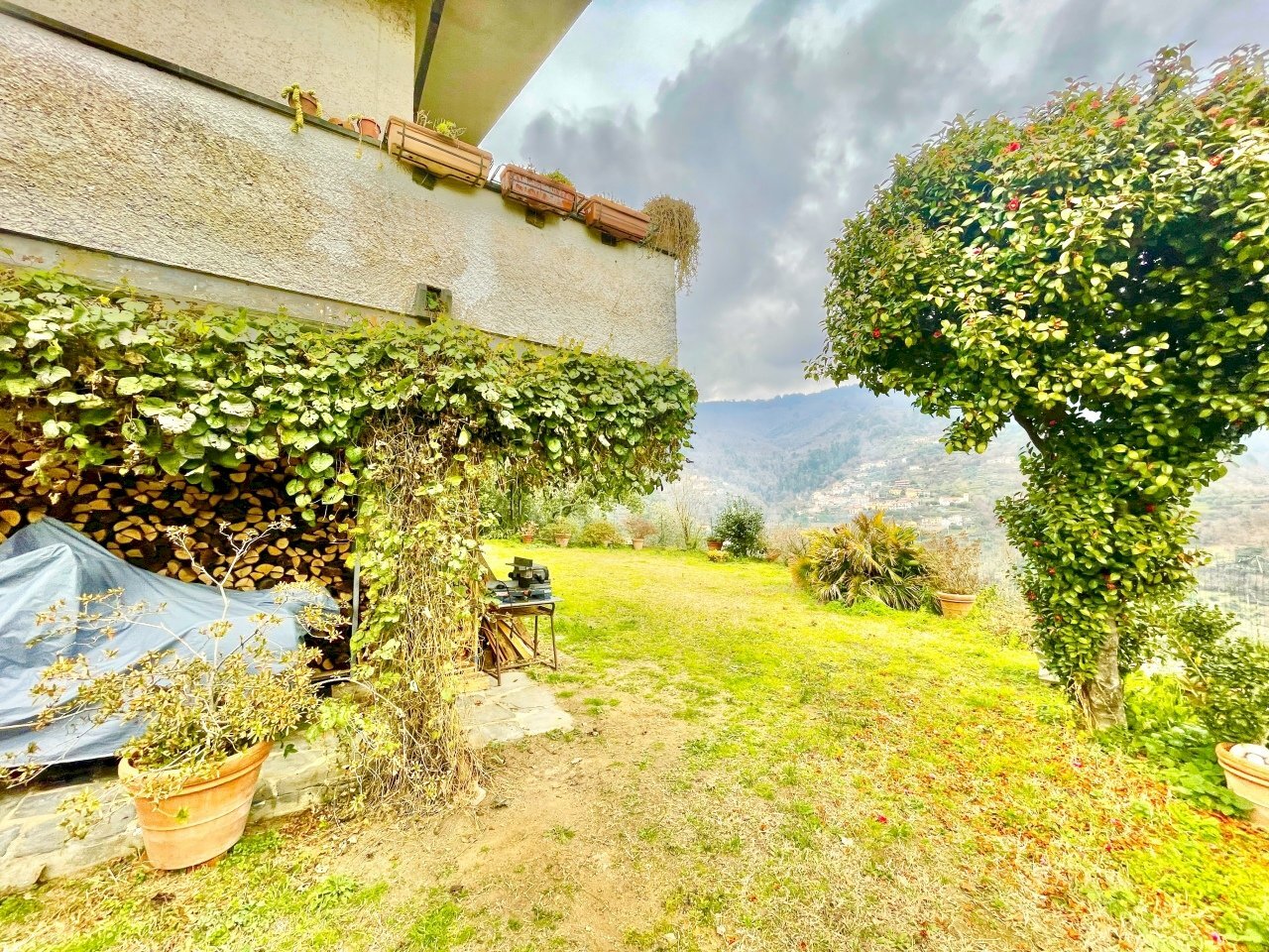 IMG_1918.jpg - Villa Montignoso - foto 3