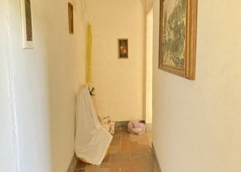 IMG_1639.jpg - Appartamento Seravezza - foto 1