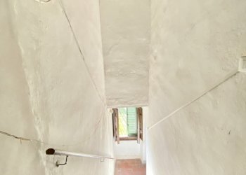 IMG_1641.jpg - Appartamento Seravezza - foto 3