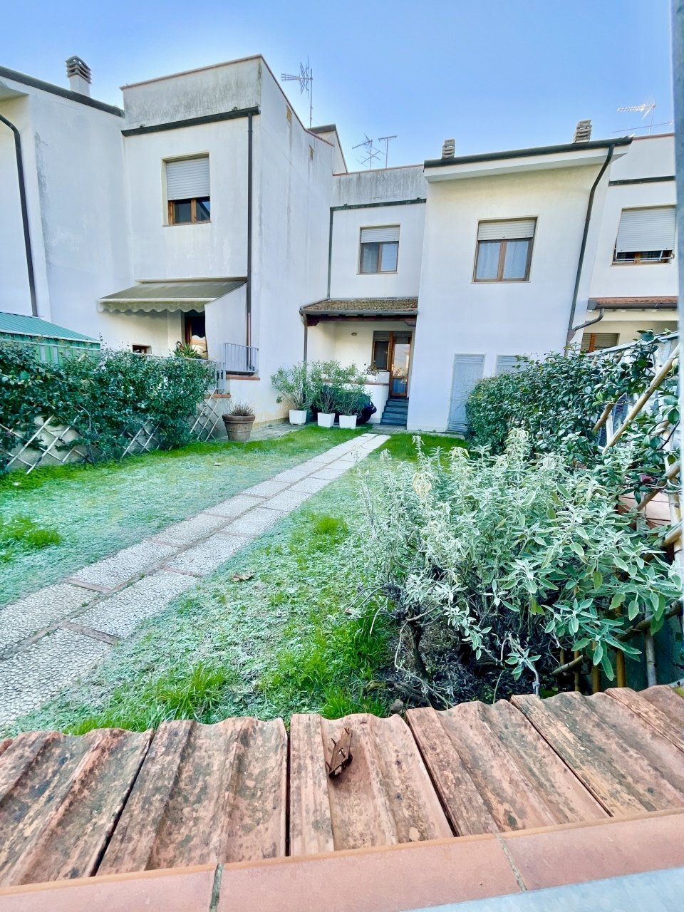 IMG_1222.jpg - Terraced Villa Pietrasanta - photo 1