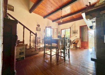 IMG_1782 2.jpg - Independent house Stazzema - photo 13