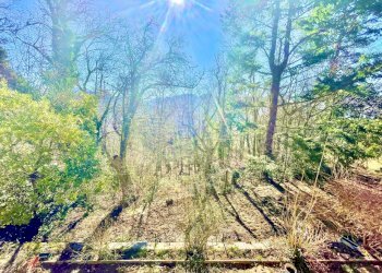 IMG_1798 2.jpg - Independent house Stazzema - photo 29