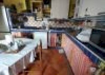 12.jpeg - Terratetto - Terracielo Camaiore - foto 2