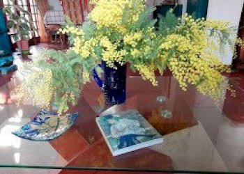 IMG_20170211_135334.jpg - Villa Forte dei Marmi - foto 8