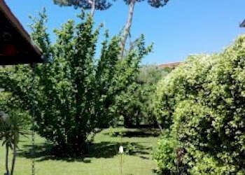 Giardino lato monti.jpg - Villa Forte dei Marmi - foto 15