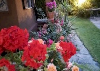 IMG_20200516_205401.jpg - Villa Forte dei Marmi - foto 17