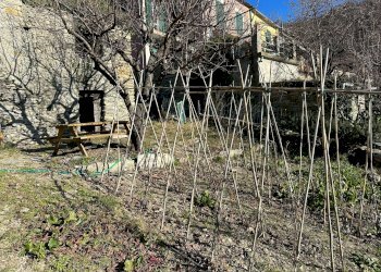 img_0762 - Rustico via Levà, Sori - foto 9