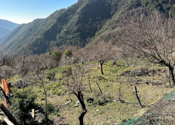 img_0764 - Rustico via Levà, Sori - foto 12