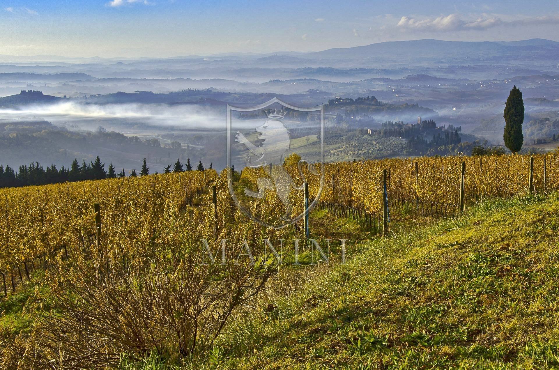 Rustic Certaldo - photo 1