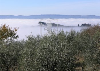 Rustico Certaldo - foto 18