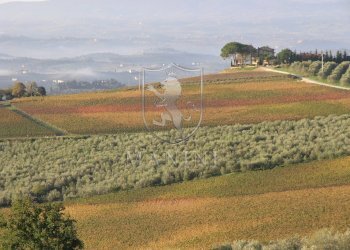 Rustico Certaldo - foto 25