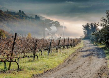 Rustico Certaldo - foto 27