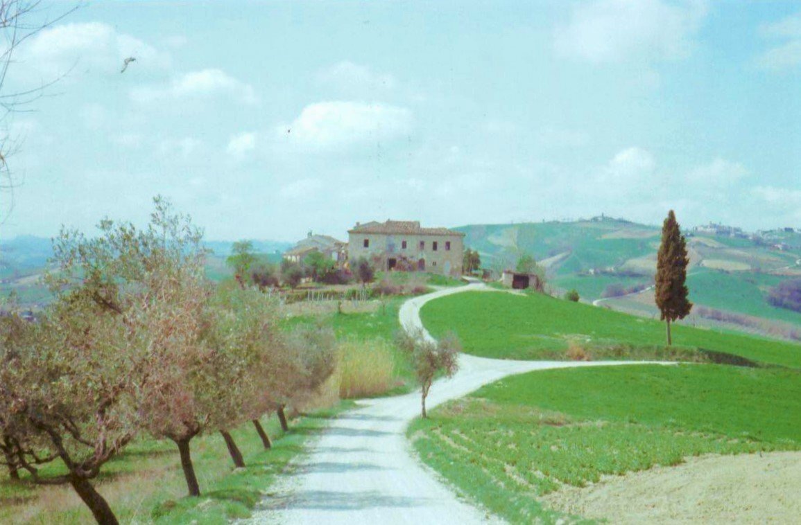 dileoimmobiliare vende.jpg - Independent house Offida - photo 1