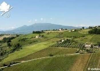 07 .OFFIDA-BORGHETTO IN POSIZIONE PANORAMICA DA RI - Independent house Offida - photo 8