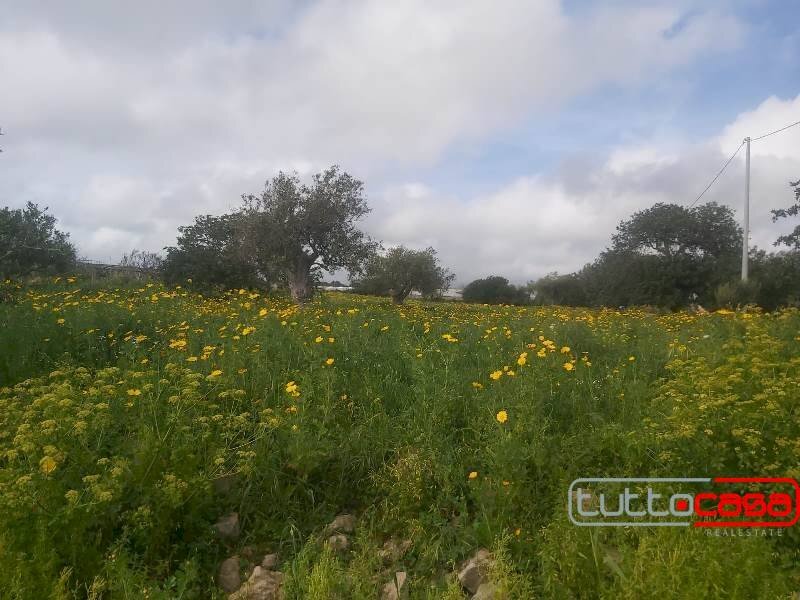 Agricultural land CONTRADA BOMMACCHIA, Scicli - photo 2