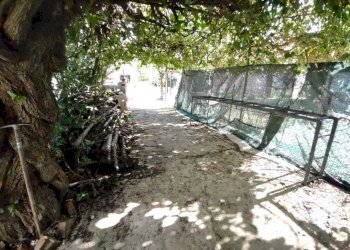 1b5a39c1-df9d-4a0b-beeb-ae0bb28acfc1.jpg - Casa indipendente Jesi - foto 1