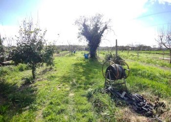 3ed1b06b-0216-431d-ad3c-eb9d722b3b6b.jpg - Casa indipendente Jesi - foto 5