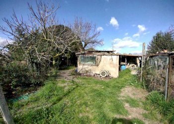 5e5924e3-fc2b-4474-bbb0-01c181fd250c.jpg - Casa indipendente Jesi - foto 6