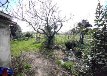 51c53992-2207-4e70-835e-f77d8d4f279a.jpg - Casa indipendente Jesi - foto 10