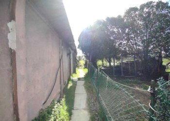 ce7fa9c7-8ea9-4d1b-98c8-f2f2a03349e5.jpg - Casa indipendente Jesi - foto 26