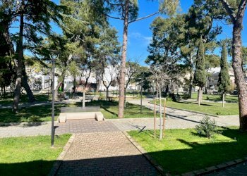 esterno - Villa Piazza Ingegner Nicola Andriola 3, Sannicandro di Bari - foto 7