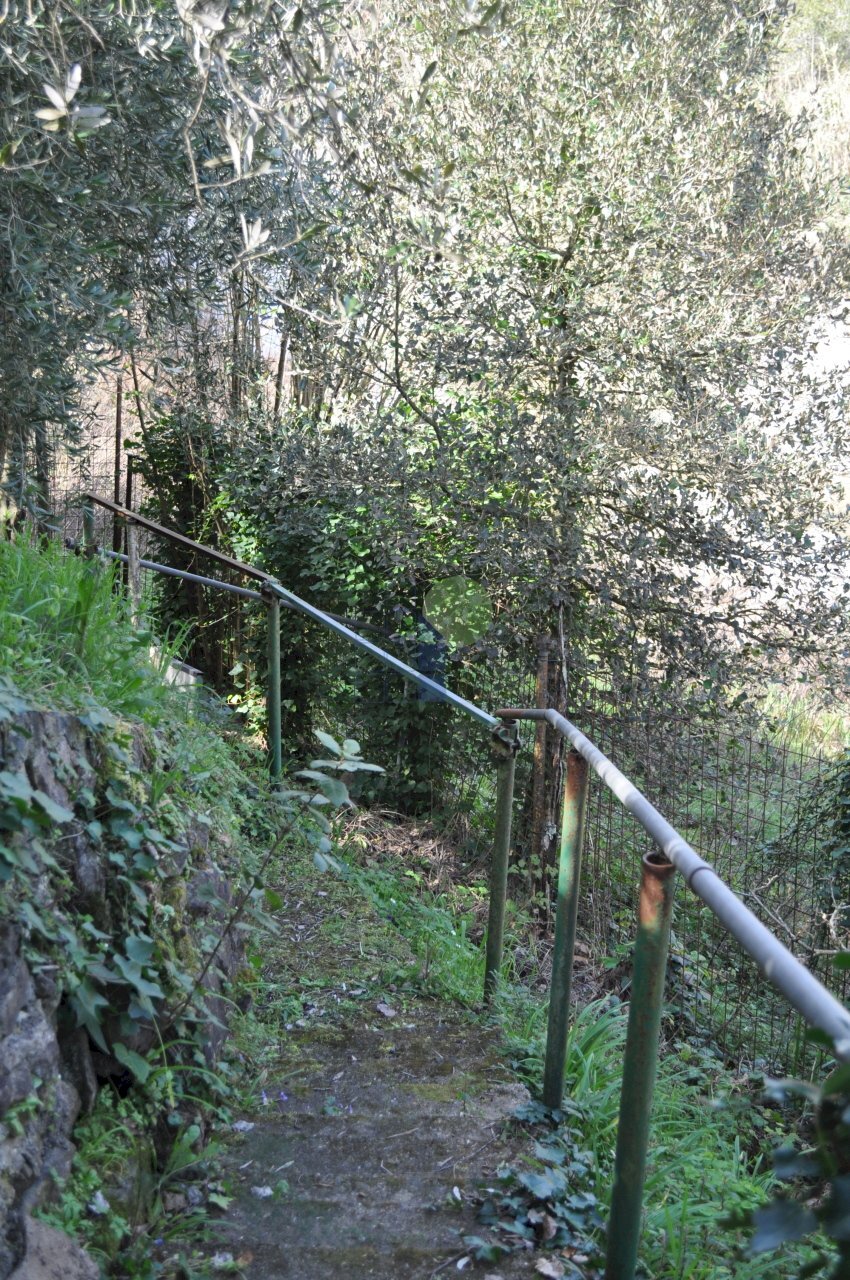 Terreno - Terreno agricolo Via di Popogna 441, Livorno - foto 2