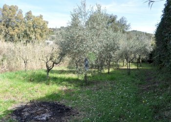Terreno - Terreno agricolo Via di Popogna 441, Livorno - foto 1