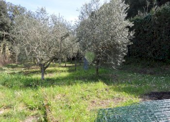 Terreno - Terreno agricolo Via di Popogna 441, Livorno - foto 3