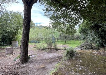 IMG_0694.jpeg - Terreno agricolo Via di Popogna 441, Livorno - foto 10
