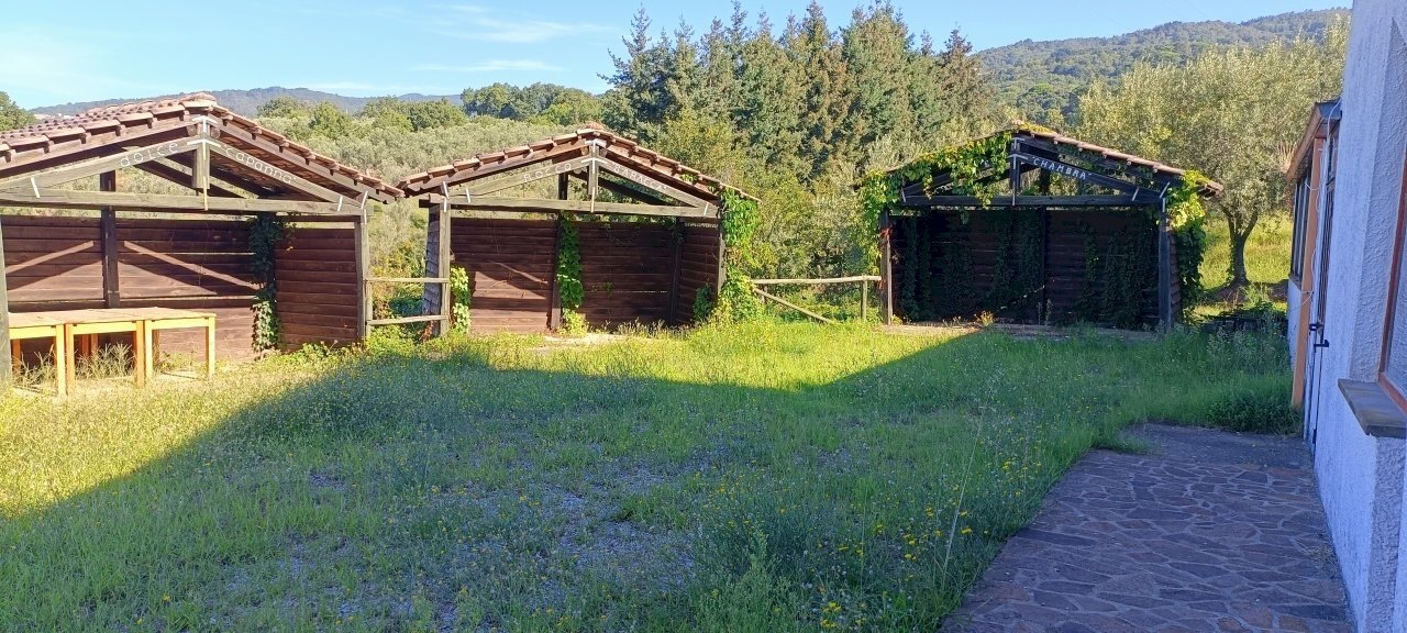 IMG20220910092022.jpg - Stabile - Palazzo Contrada Tavano, Pianopoli - foto 3