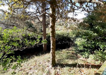 Farmhouse Albugnano - photo 6