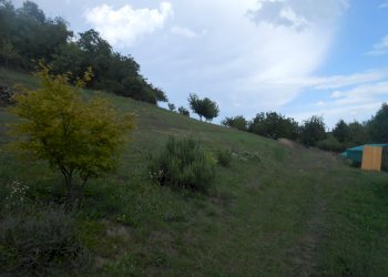 Farmhouse Albugnano - photo 8
