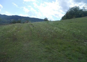 Farmhouse Albugnano - photo 10