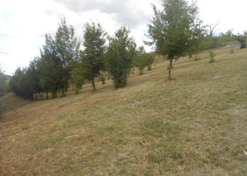 Farmhouse Albugnano - photo 12