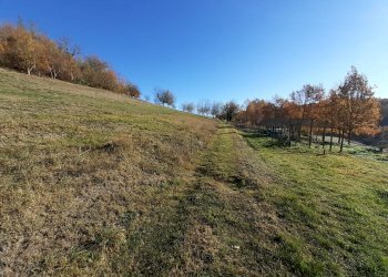 Farmhouse Albugnano - photo 21