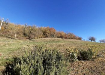 Farmhouse Albugnano - photo 23