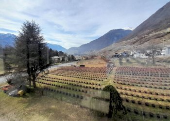 Quadrilocale via San Francesco, 66, Montagna in Valtellina - foto 3